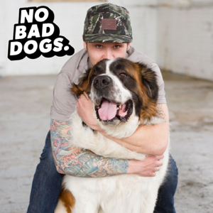 No Bad Dogs Podcast
