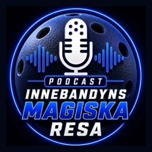 Innebandyns Magiska Resa