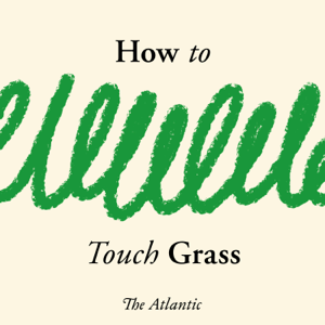 How to Touch Grass