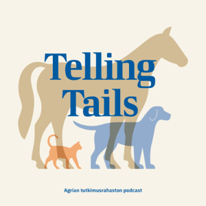 Telling Tails - suomi