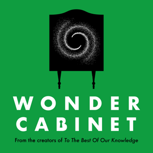 Wonder Cabinet