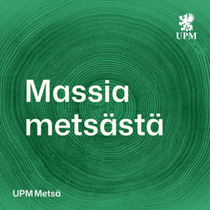 Massia metsästä
